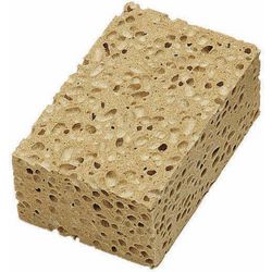 Industriële spons Spontex Azella 75 Bruin 5 Stuks afbeelding