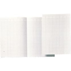 Accountantspapier Djois folio A360795 afbeelding